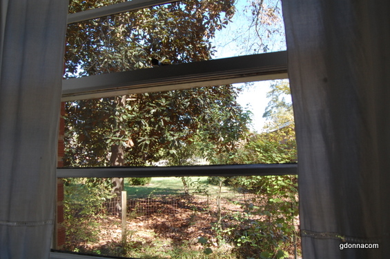 Fall Chores