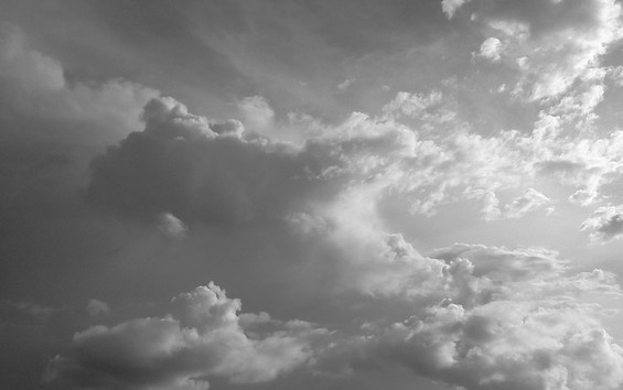 Corn Dodgers and Animals in the Sky