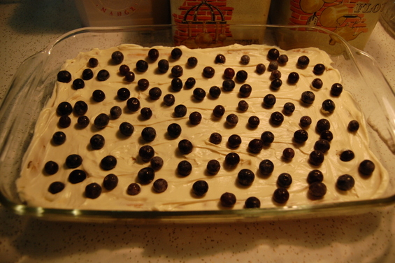 Blueberry dessert
