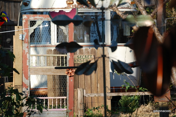 The Devil squirrel and March freeze
