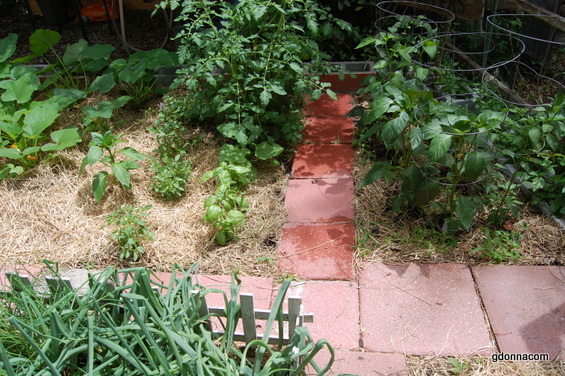 Update Secret Garden