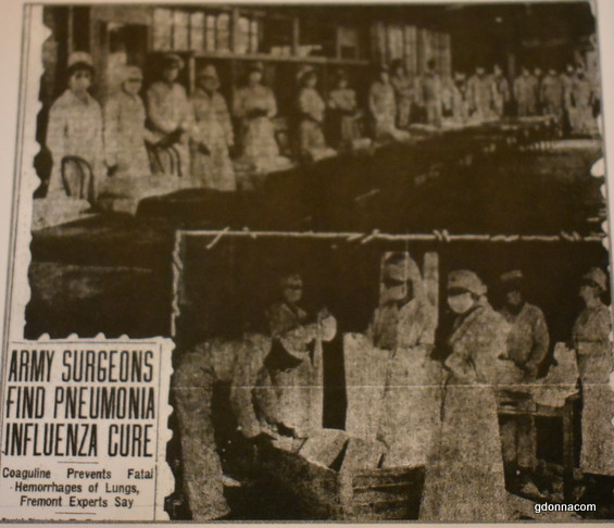 Influenza Epidemic