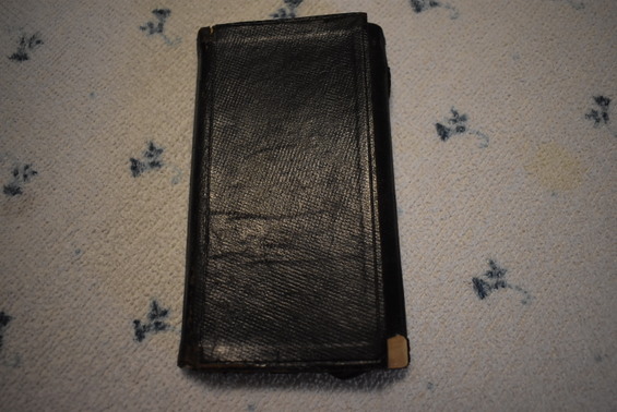 Diary Theodore and Nellie February 1905