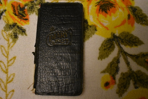 Diary Lena, a teacher April thru June