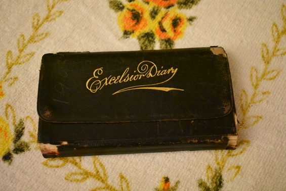 Diary Theodore and Nellie April