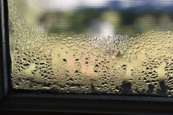 Questions and Answers Moisture and Mold