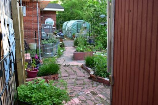 Twisted Labyrinth Victory Garden
