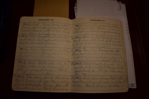 Lil's Diary week Jan 15 - 21 and Part two Finding Calm