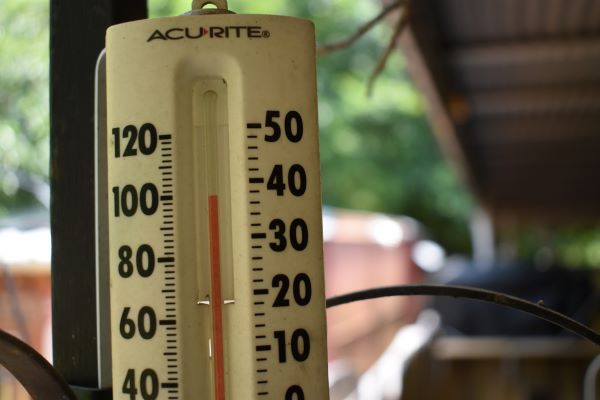 Triple Digits and Food Prices