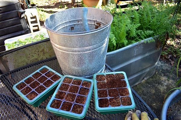 Spring Like Gardening and The Other Things