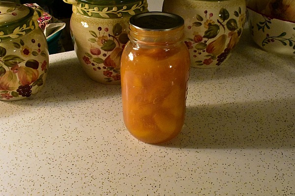 Pizza, Hamburger, the jar of canned peaches plus Update.