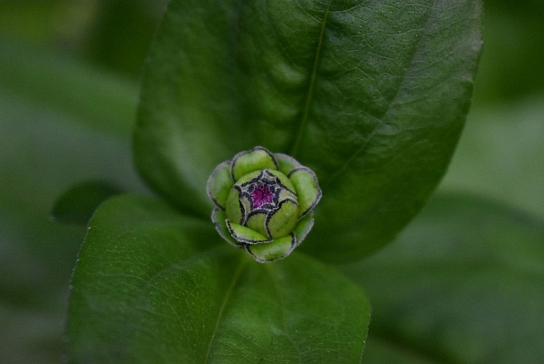Take the time to plant the seed