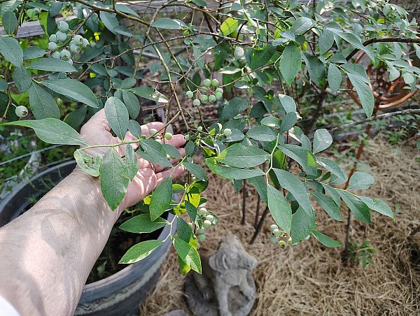 Self-Sufficiency-where we are