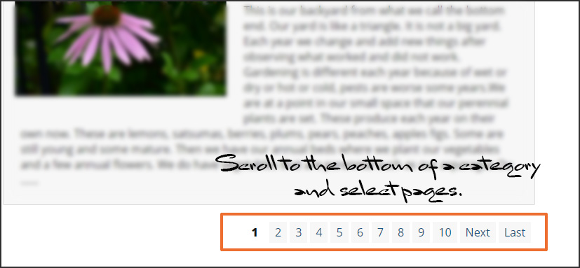 Screenshot 2021-09-15 033338.jpg